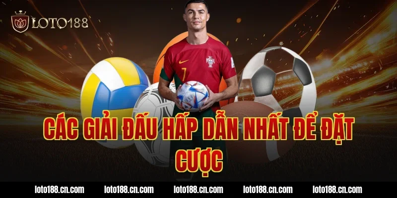 Các Giải Đấu Hấp Dẫn Nhất Để Đặt Cược