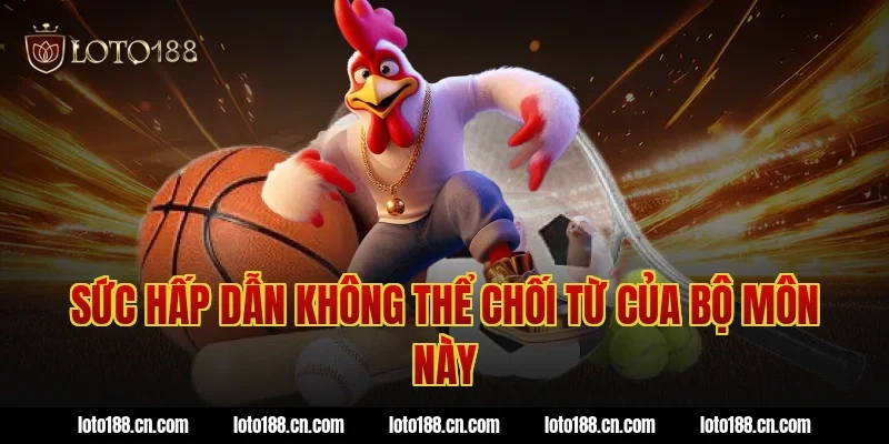 Sức Hấp Dẫn Không Thể Chối Từ Của Bộ Môn Này